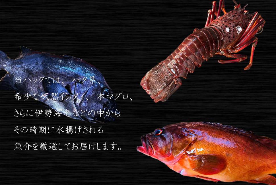 դζˤ߻ɿȥѥåھ۾2