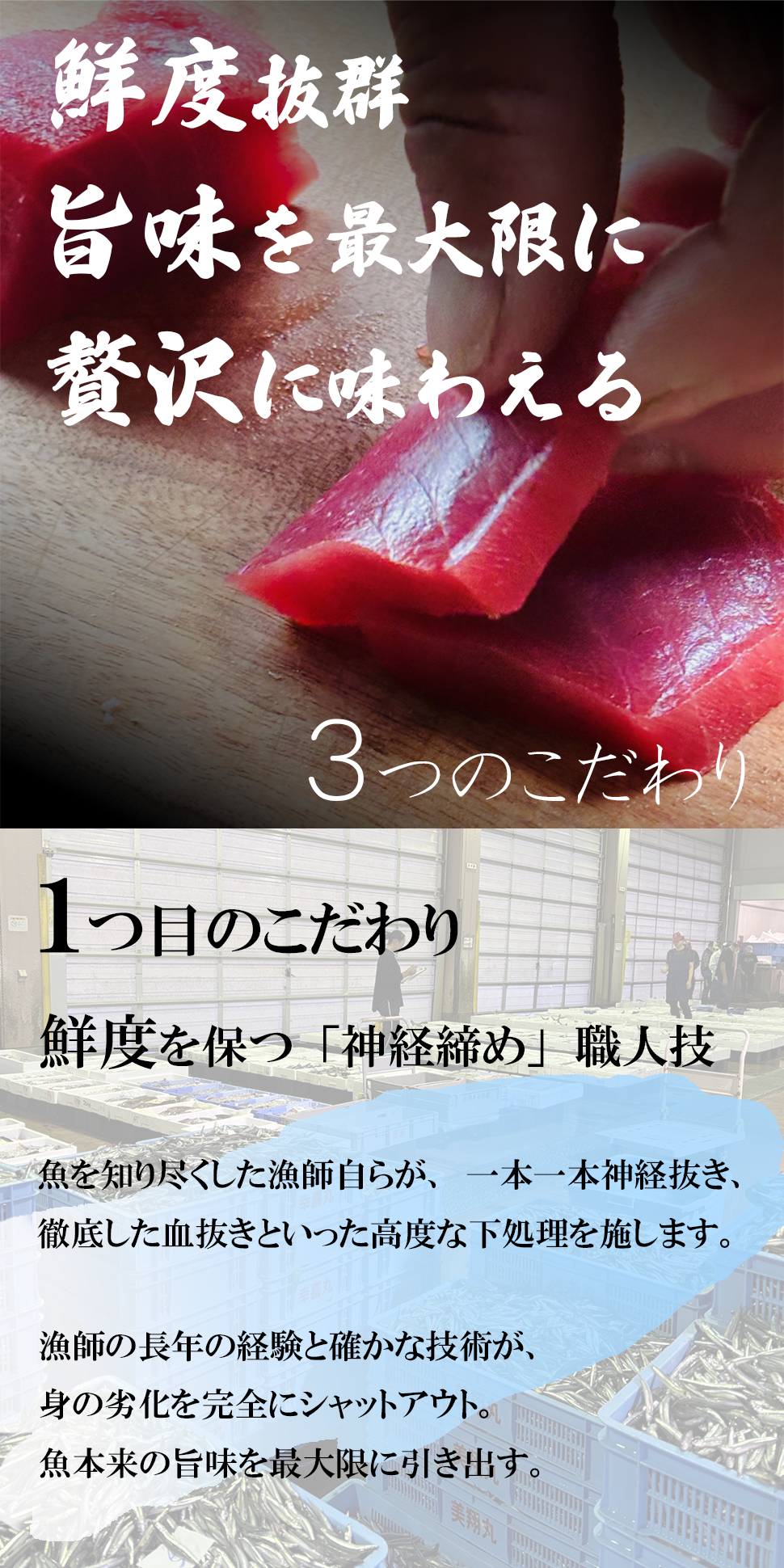 դζˤ߻ɿȥѥåھ۾3