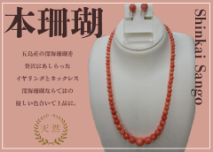 さんご - 長崎県五島市の物産品販売サイト-MIGOTOショップ さんご - 長崎県五島市の物産品販売サイト-MIGOTOショップ