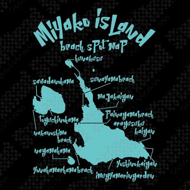 「ジーコ　直筆　サイン　Ｔシャツ　1995年 ビーチ・サッカー三浦海岸」 ジーコ 直筆 サイン Tシャツ 1995年 ビーチ・サッカー三浦海岸