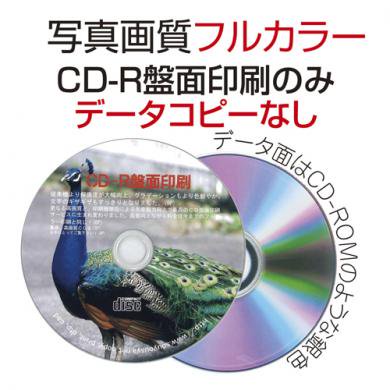 DVD　盤面 