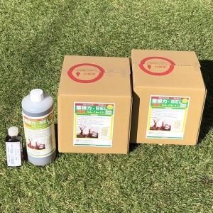 菌根力 Bel M N K園芸 サン化研株式会社 菌根力 Bel M N K園芸 サン化研株式会社