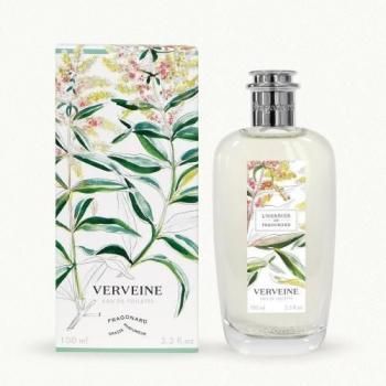 ڥե饴ʡۡVerveine(٥١)С٥ʡɥȥ졡