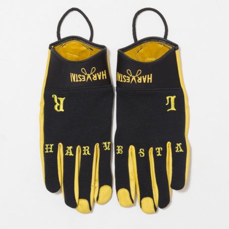 <img class='new_mark_img1' src='https://img.shop-pro.jp/img/new/icons50.gif' style='border:none;display:inline;margin:0px;padding:0px;width:auto;' />DIG THE SOIL GLOVE LEATHER