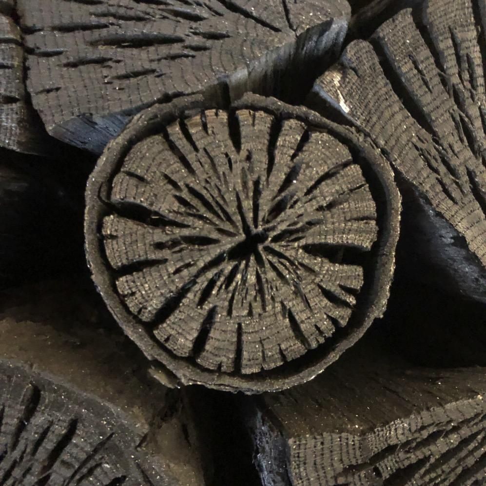 三上幸太郎作 ”炭に置けない！” - ホームーセンターバリカンズ