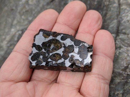 隕石・石鉄隕石・アルタイ隕石・パラサイト隕石 セリコ隕石 磁石に 