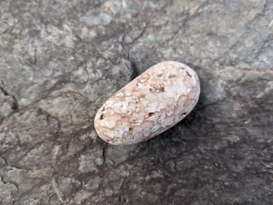 ラジウム鉱石　ユークセン石　28g 15e966ef82e353f83b7bff2d9b8a9e