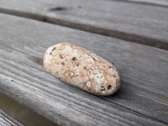 大人気！！日本のラジウム鉱石 新潟県糸魚川産『姫川薬石』原石