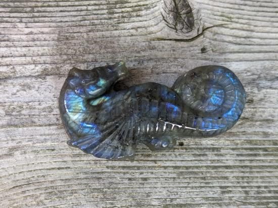 ラブラドライト|タツノオトシゴカービング - 湘南∞逗子