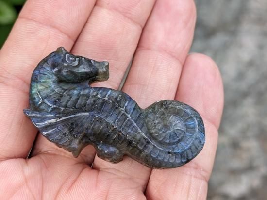 【特級呪物 】極めて古く珍しい御姿のチョウピラコ様 1963年公開の東宝特撮ホラー映画『マタンゴ』より未知の生物