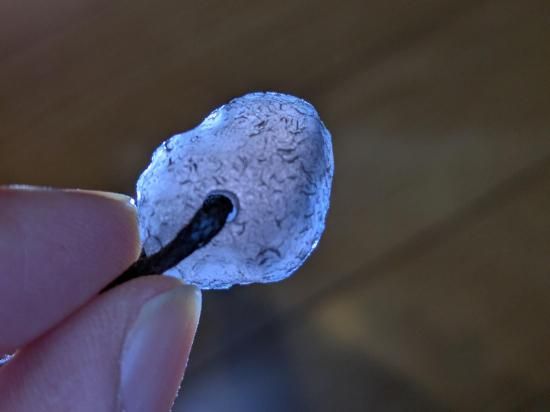 プレミアム チンターマニストーン | 隕石ペンダント - 湘南∞逗子