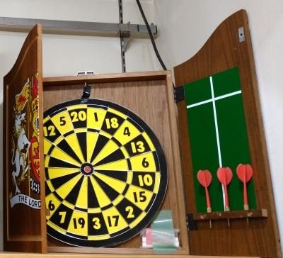 《DARTSLIVE100s》壁掛け❃ダーツボード