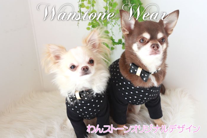 wanstone wear - 󥹥ȡΤ -
