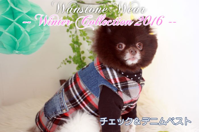 Wanstone Wear Winter Collection 2016 åǥ˥ࡡ٥