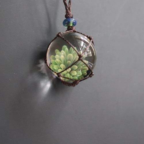 <img class='new_mark_img1' src='https://img.shop-pro.jp/img/new/icons6.gif' style='border:none;display:inline;margin:0px;padding:0px;width:auto;' />Farinoͥå쥹Plantplant25-10-09¿ʪ