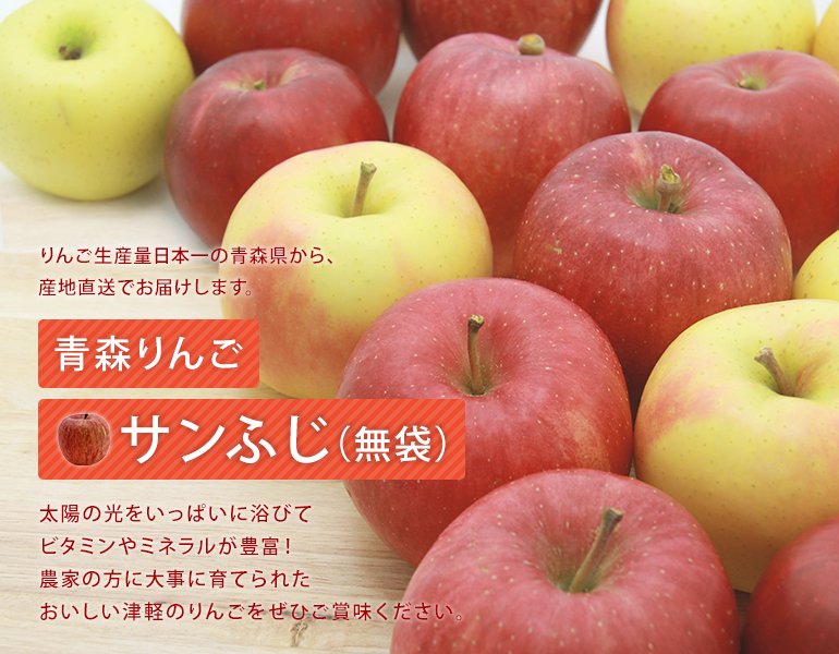 期間限定 青森県産 ぐんま名月 家庭用 大 りんご 希少 特大玉 6~8玉 ⑳