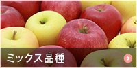青森りんご 混合ミックス品種