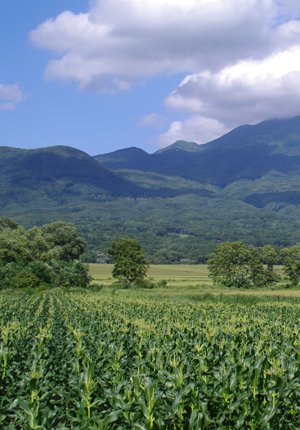 青森県弘前市にある津軽富士ともいわれる「岩木山（いわきさん）」の麓にある「嶽（だけ）高原」