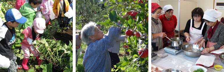 市民農園、りんごの農作業、調理教室の様子