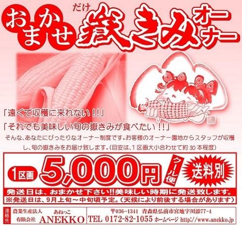 おまかせ 嶽きみオーナー制度(令和2年度) の通信販売・ネット販売