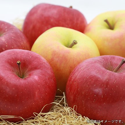 青森県産 サンつがるりんご ご予約、相談、確認ページMりんご予約 - 果物