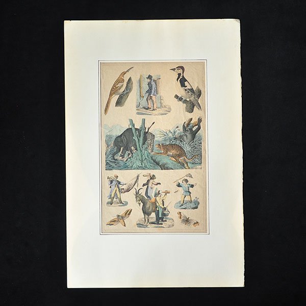 1860年 銅版画・A/フランスアンティーク雑貨・家具のSibora【シボラ】