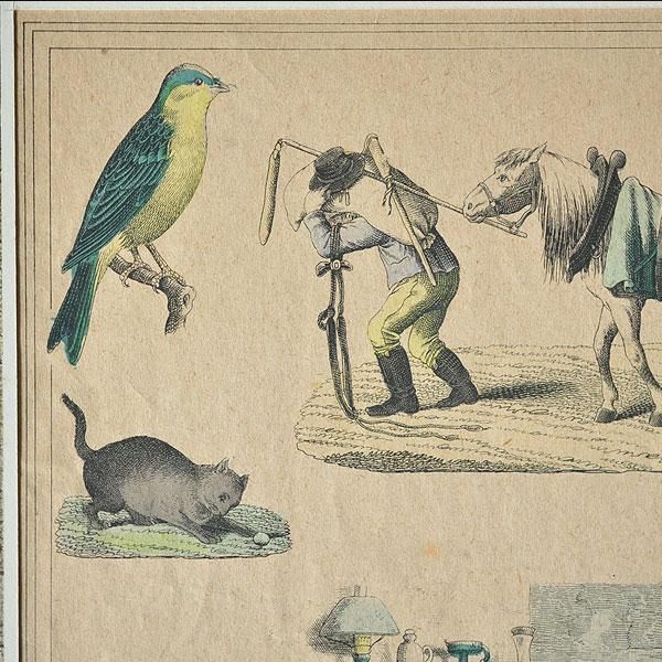 アンティーク　銅版画 アンティーク銅版画「ワシ」 | メルキュール骨董店