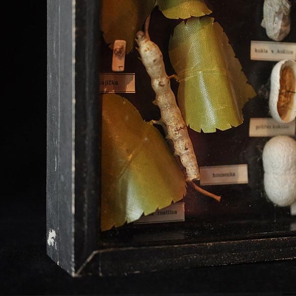フランスアンティーク　【希少】蜘蛛の本 A mother-of-pearl inlaid lacquer 'drunken scholar' lobed box