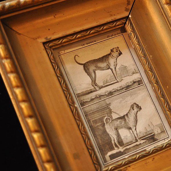 フランス製、犬の銅版画 額装済み スコッチテリア-