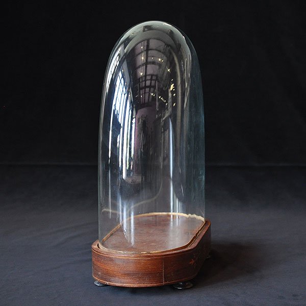 アンティーク 楕円ガラスドームH46cm/フランスアンティーク雑貨・家具 