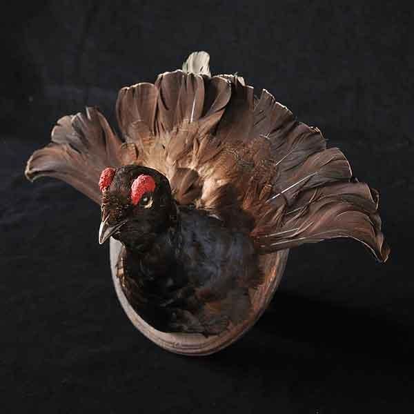 フランス便】アンティーク ◇ハンティングトロフィー◇ ※1点