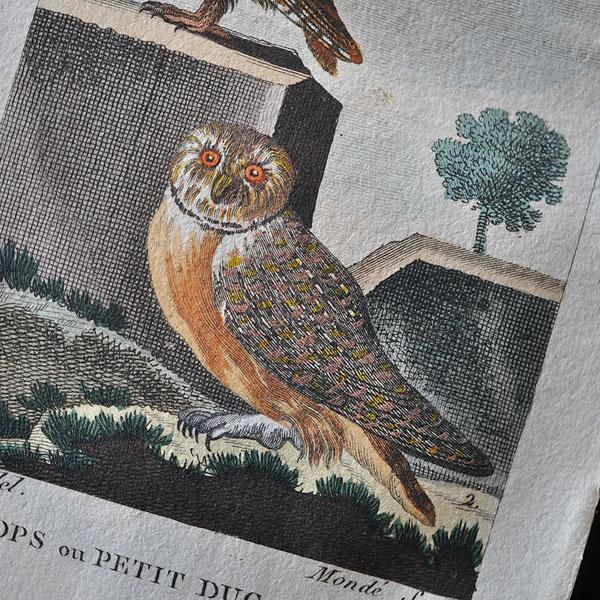 きなこ☆送料無料　18世紀フランス　総手描き　描画七宝/銅胎画琺瑯　鉢 きなこ☆様専用送料無料 18世紀フランス 総手描き 描画七宝/銅胎画