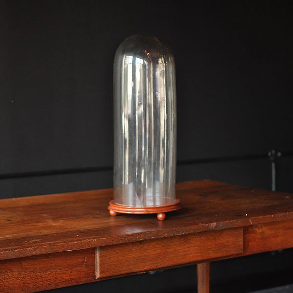 アンティーク ガラスドーム・2 H55cm/フランスアンティーク雑貨・家具 