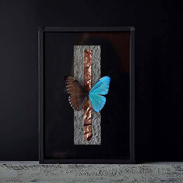 外国産蝶標本‼️世界最美 翔ぶ青の宝石 キプリスモルフォチョウ - 虫類用品