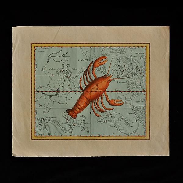 ヨハネス・ヘヴェリウス・天体画≪蟹座≫・アンティーク雑貨