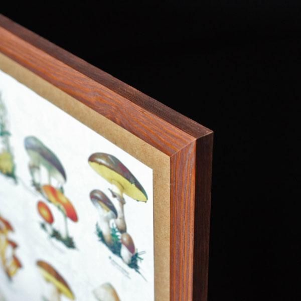 アンティーク 絵画 （大）ポスター （C） 12762アートポスター 絵画 A3サイズ『イギー・ポップ ロック