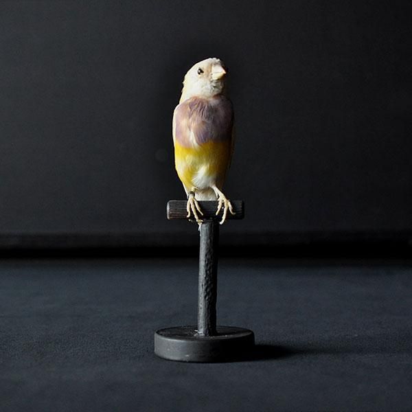 CHIMERAORO社　イタリー製アンティーク調シルバー製　ゾウ(大) CHIMERAORO社 イタリー製アンティーク調シルバー製 ゾウ(中