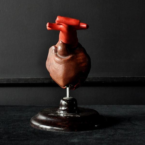 解剖模型 心臓・4/フランスアンティーク雑貨・家具のSibora