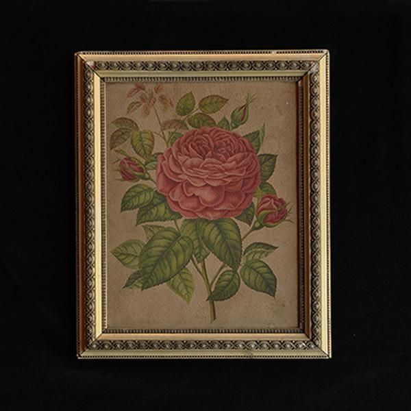 ② フランスアンティーク 植物画 - 工芸品