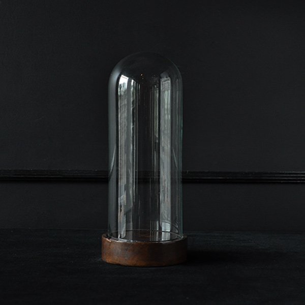 アンティーク ガラスドームH28.5cm/フランスアンティーク雑貨・家具の 