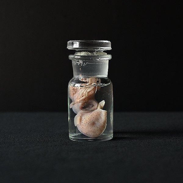 Boooh様☆未使用 Evidence フランス製 s-l1200.jpg