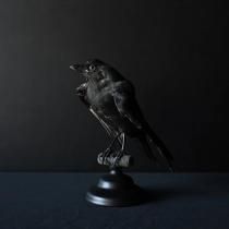  饹8