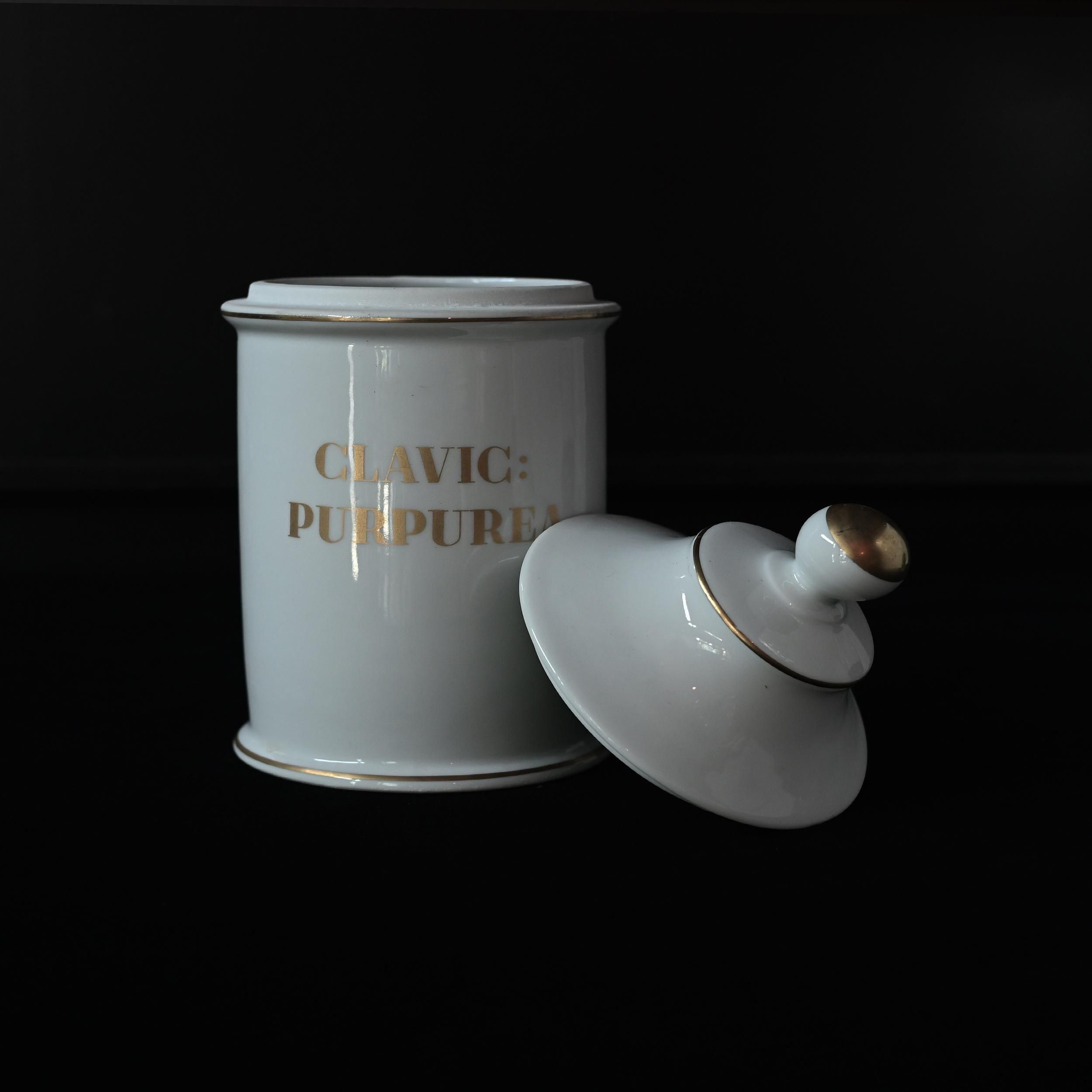 ブラウン　ラヴィエ セピア　ボタニカル　ジャポニズム　　フランス　アンティーク ブラウン ラヴィエ セピア ボタニカル ジャポニズム フランス