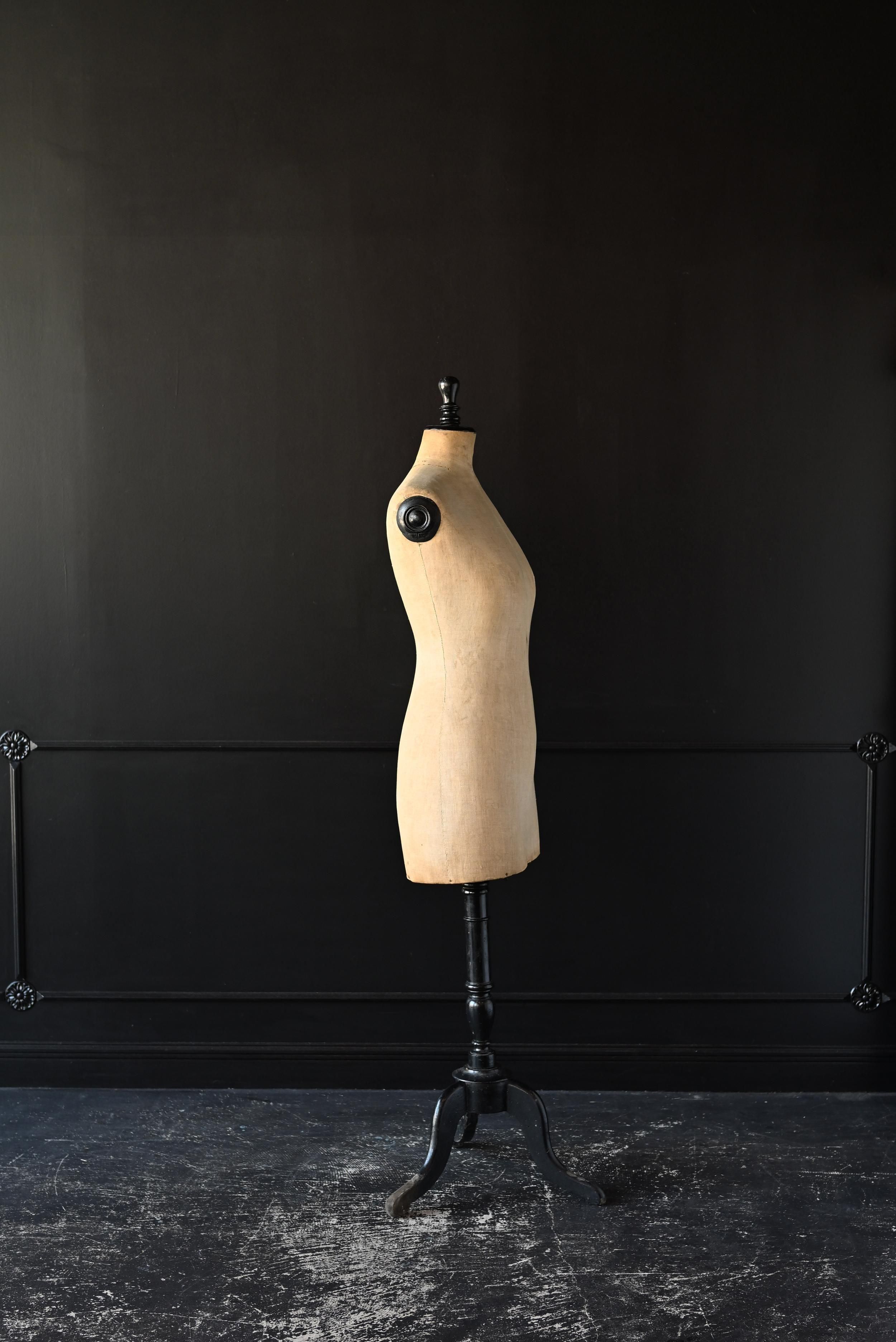 アンティークトルソー・3/stockman ストックマン Sibora【シボラ】