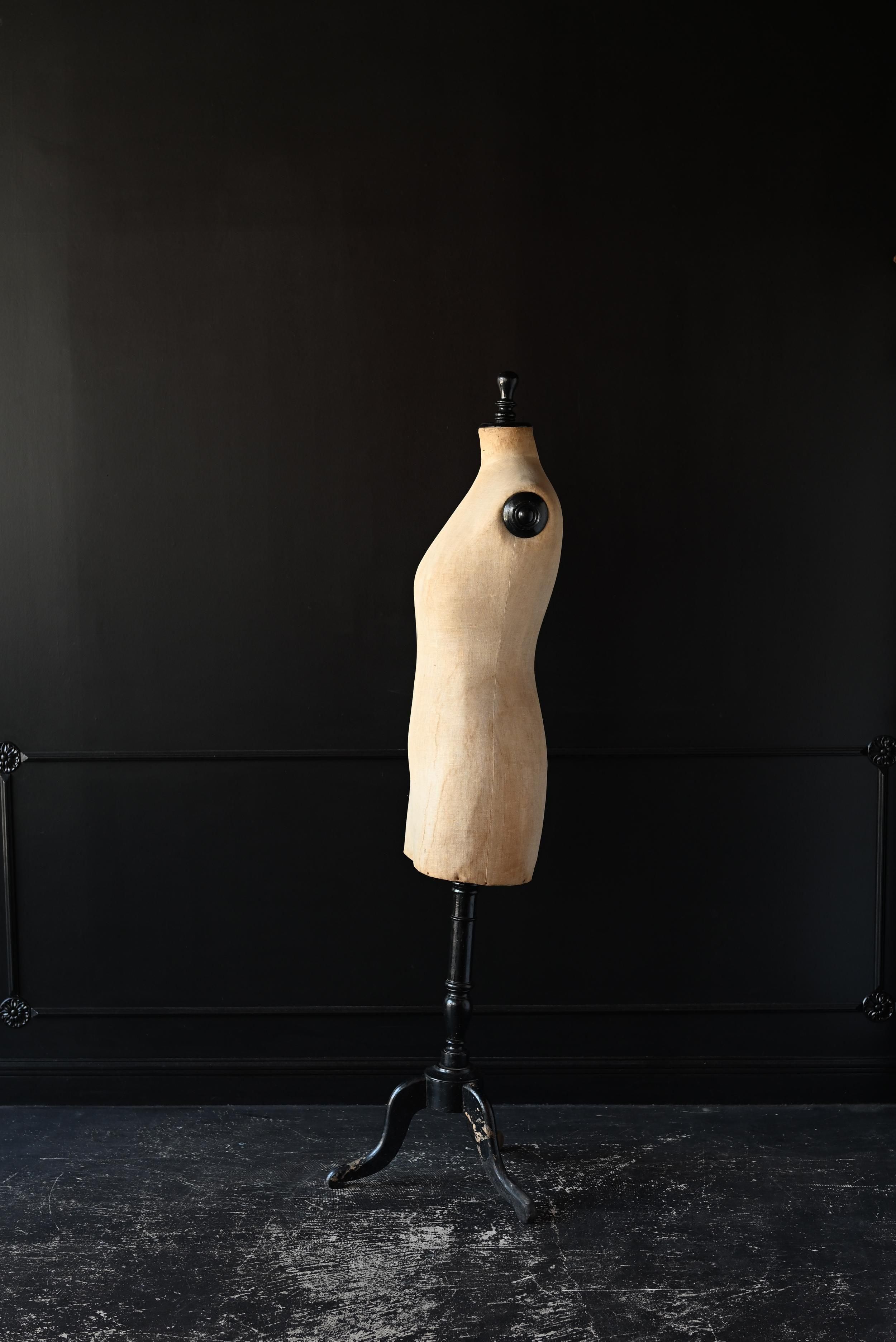 アンティークトルソー・3/stockman ストックマン Sibora【シボラ】