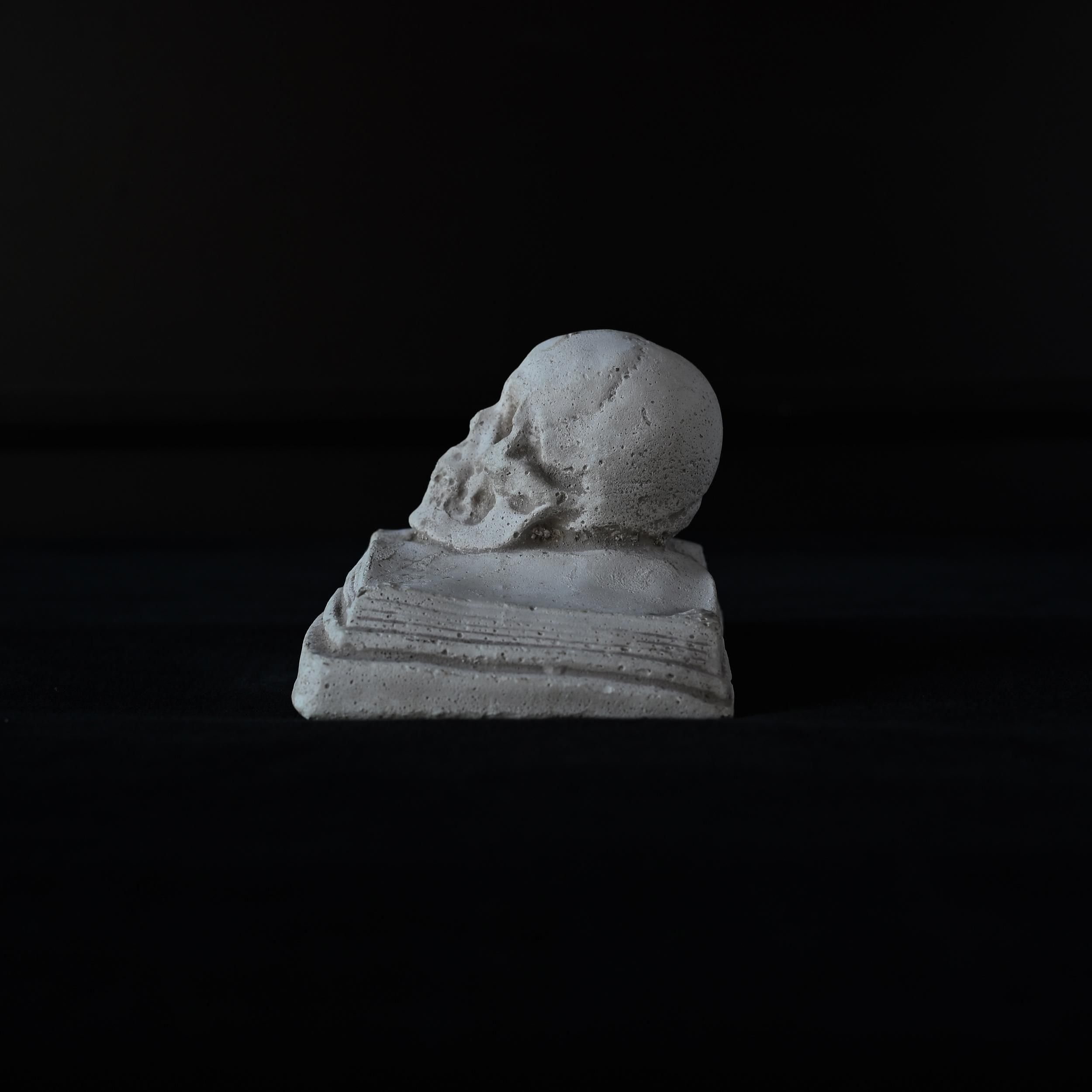 壁掛け　　タイトル「生と死の象徴を描いた頭蓋骨」 壁掛け タイトル「生と死の象徴を描いた頭蓋骨」 - メルカリ