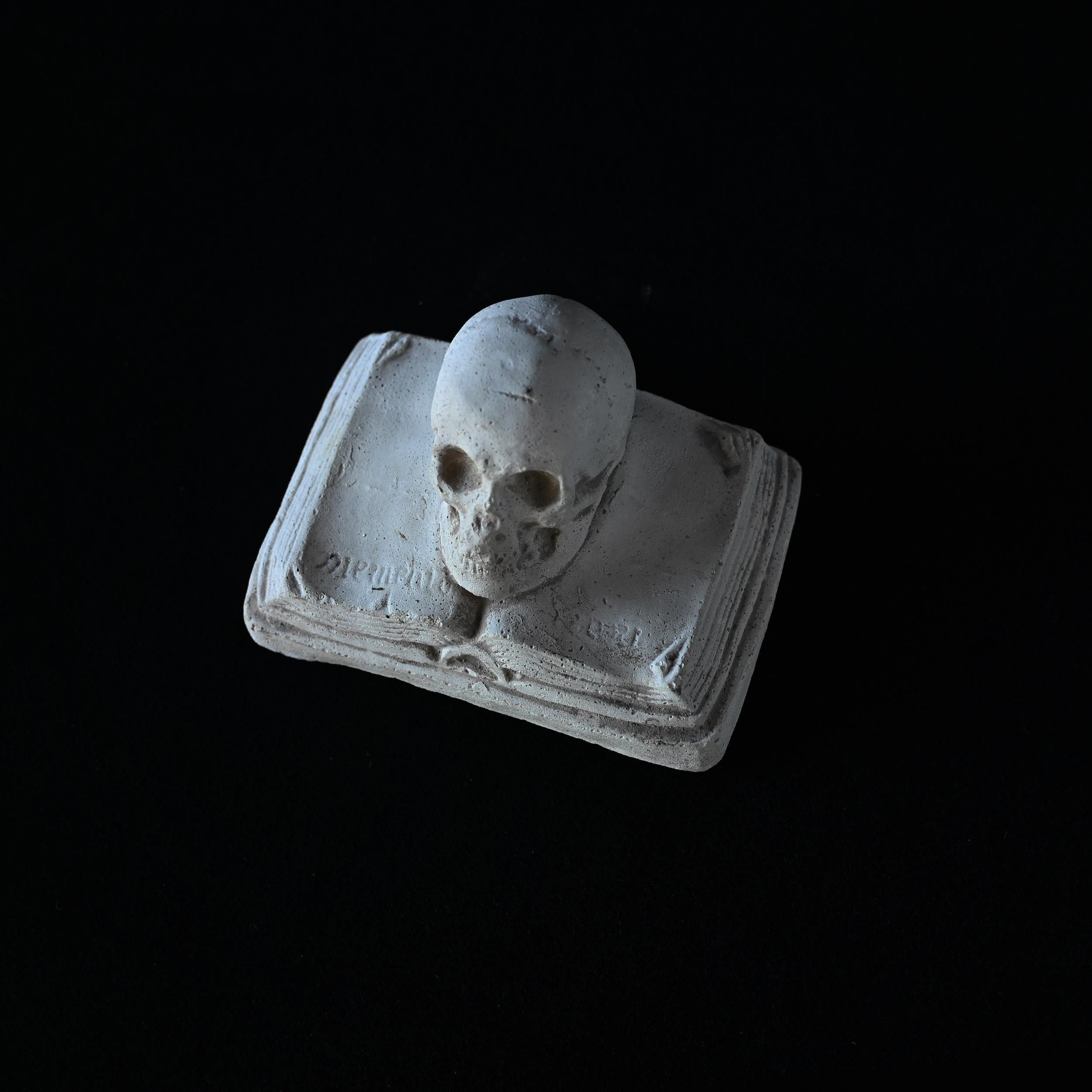 壁掛け　　タイトル「生と死の象徴を描いた頭蓋骨」 壁掛け タイトル「生と死の象徴を描いた頭蓋骨」 - メルカリ