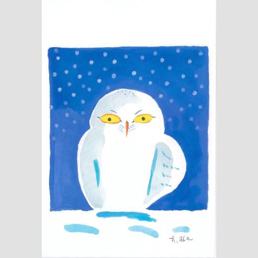絵葉書） 福井県名所絵葉書 袋付9枚(〈福井城址〉〈若狭高浜
