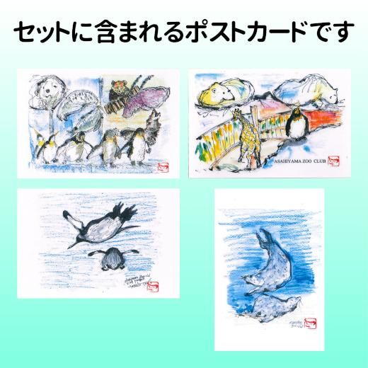Dooポストカードセット（4枚セット）≪☆LP対応≫ - 旭山動物園くらぶ