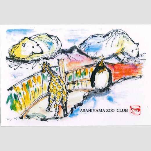 Dooポストカードセット（4枚セット）≪☆LP対応≫ - 旭山動物園くらぶ